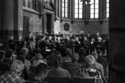 Lingua e Musica, Maastricht