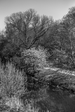 Stadspark_L1012170