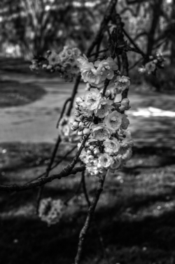 Stadspark_L1012183