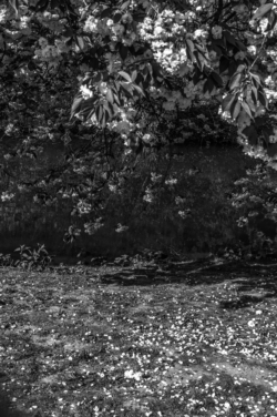 Stadspark_L1012250