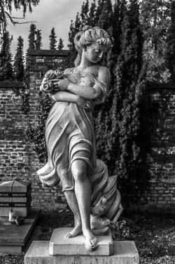 2023-01-07_Algemene Begraafplaats Tongerseweg_L1020852