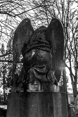 2023-01-17_Algemene Begraafplaats Tongerseweg_L1020969