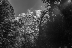 Maastricht_L1013331